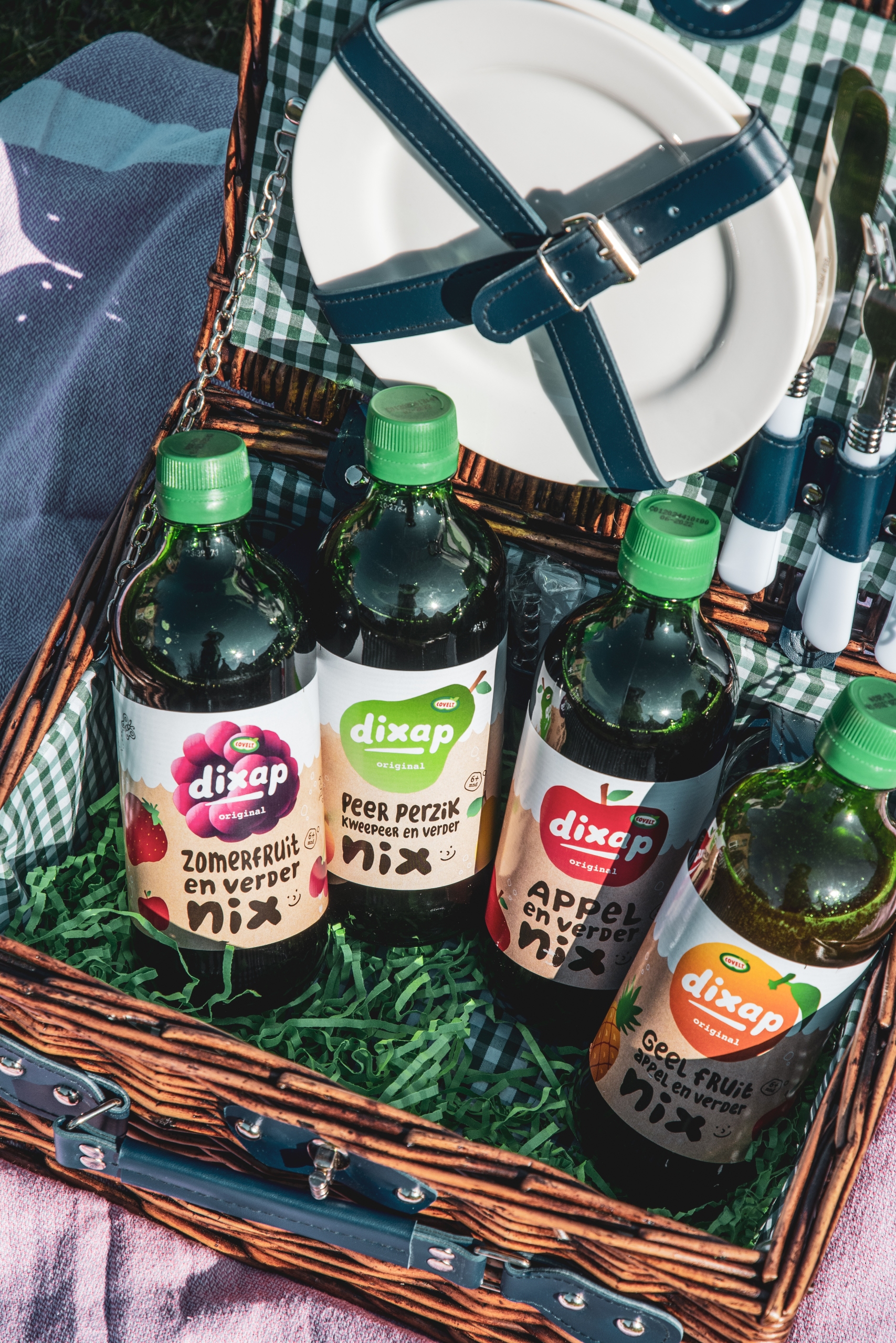 dixap appel rood fruit geel fruit peer